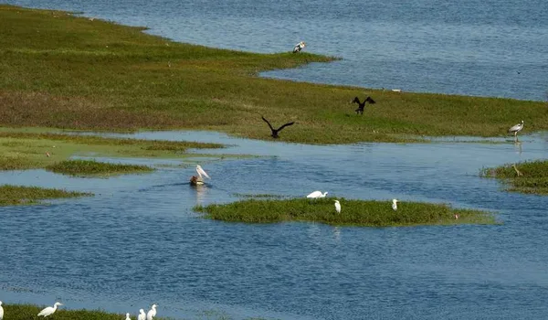 Featured Image of Hoskote Lake