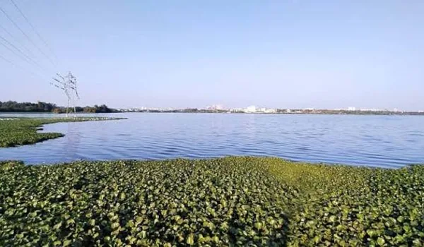 Featured Image of Yele Mallappa Shetty Lake